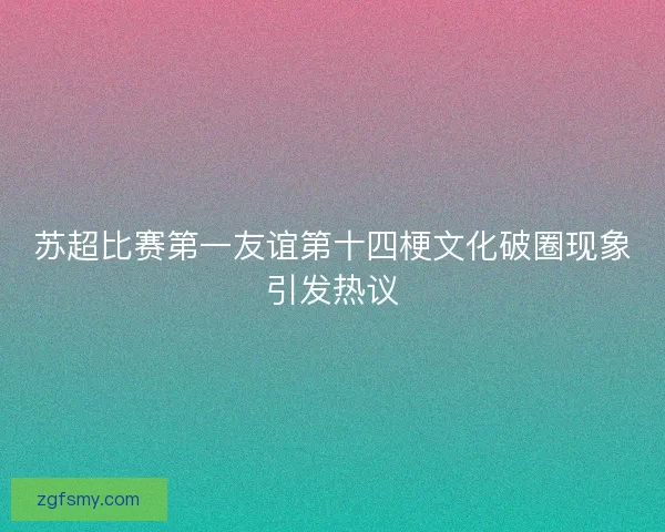苏超比赛第一友谊第十四梗文化破圈现象引发热议